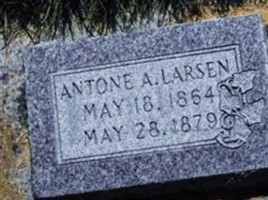 Antone A Larsen Antone A Larsen