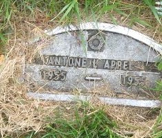 Antone L. Appel