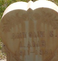Antone Stewart Lamb Antone Stewart Lamb
