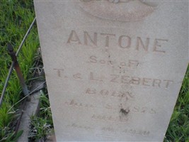 Antone Zebert Antone Zebert