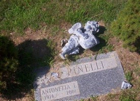 Antonetta E Pinelli Antonetta E Pinelli