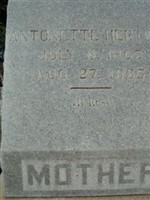Antonette Hertwig