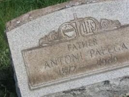 Antoni Palega