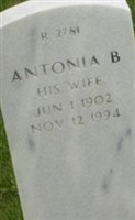 Antonia B Sena