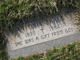 Antonia Gropp Braun