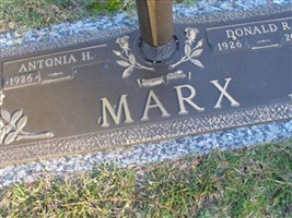 Antonia H Marx
