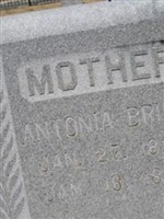 Antonia Lieck Briam Antonia Lieck Briam