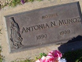Antonia N Munoz