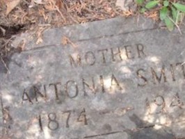 Antonia Smith
