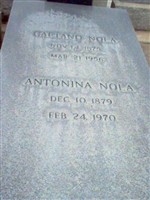 Antonina Nola