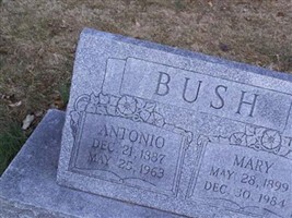 Antonio Bush Antonio Bush