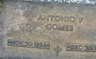 Antonio F Gomes