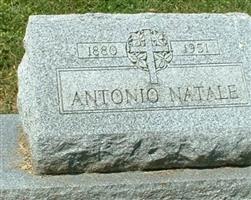 Antonio Natale