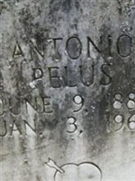 Antonio Pelus Antonio Pelus