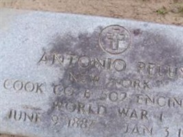 Antonio Pelus Antonio Pelus