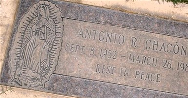 Antonio R Chacon Antonio R Chacon