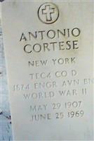 Antonio S Cortese
