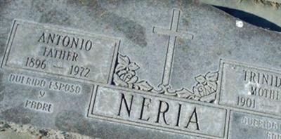 Antonio T Neria
