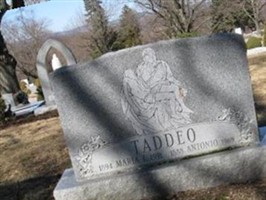 Antonio Taddeo Antonio Taddeo