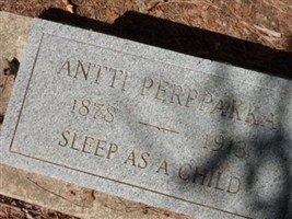 Antti Perppakka Antti Perppakka