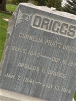 Apollos Driggs Apollos Driggs
