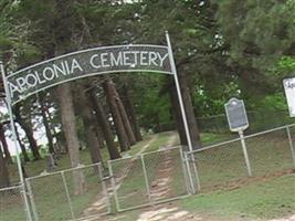 Apolonia Cemetery