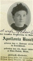 Appolonia Weber Busch