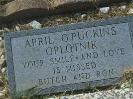 April Denise Oplotnik April Denise Oplotnik
