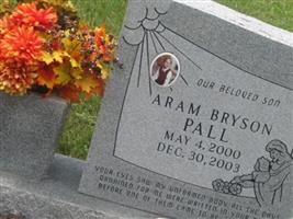 Aram Bryson Pall