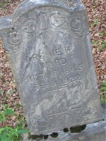 Archibald Henderson Ward