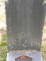 Archibald Steele
