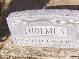 Ardis Elaine Holmes