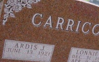 Ardis J Paardekooper Carrico Ardis J Paardekooper Carrico