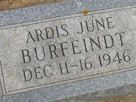 Ardis June Burfeindt Ardis June Burfeindt
