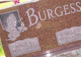Ardis Luwayne Jamieson Burgess Ardis Luwayne Jamieson Burgess