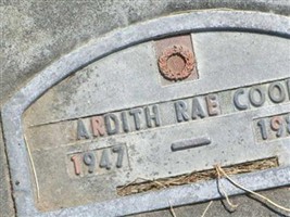 Ardith Rae Cook