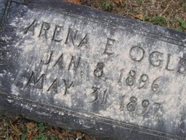 Arena E Ogle