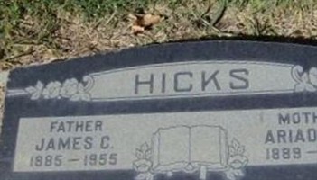 Ariadna Isabell Heisentein Hicks Ariadna Isabell Heisentein Hicks