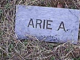 Arie A. Crown