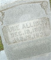 Arie Allison Arie Allison