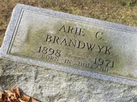 Arie C Brandwyk