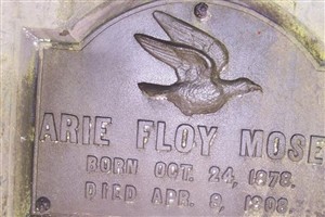 Arie Floy Moses