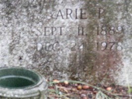 Arie P. Holder Arie P. Holder