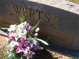 Arie Suber Werts