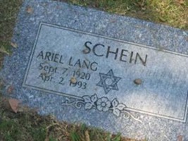Ariel Lang Schein Ariel Lang Schein