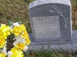 Arizona Harness Vick