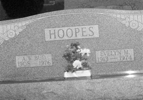 Arlan Walter "BUD" Hoopes
