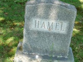 Arlene Hamel