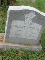 Arlene Messer Arlene Messer