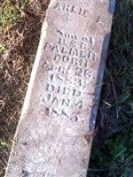 Arlie L Palmer Arlie L Palmer